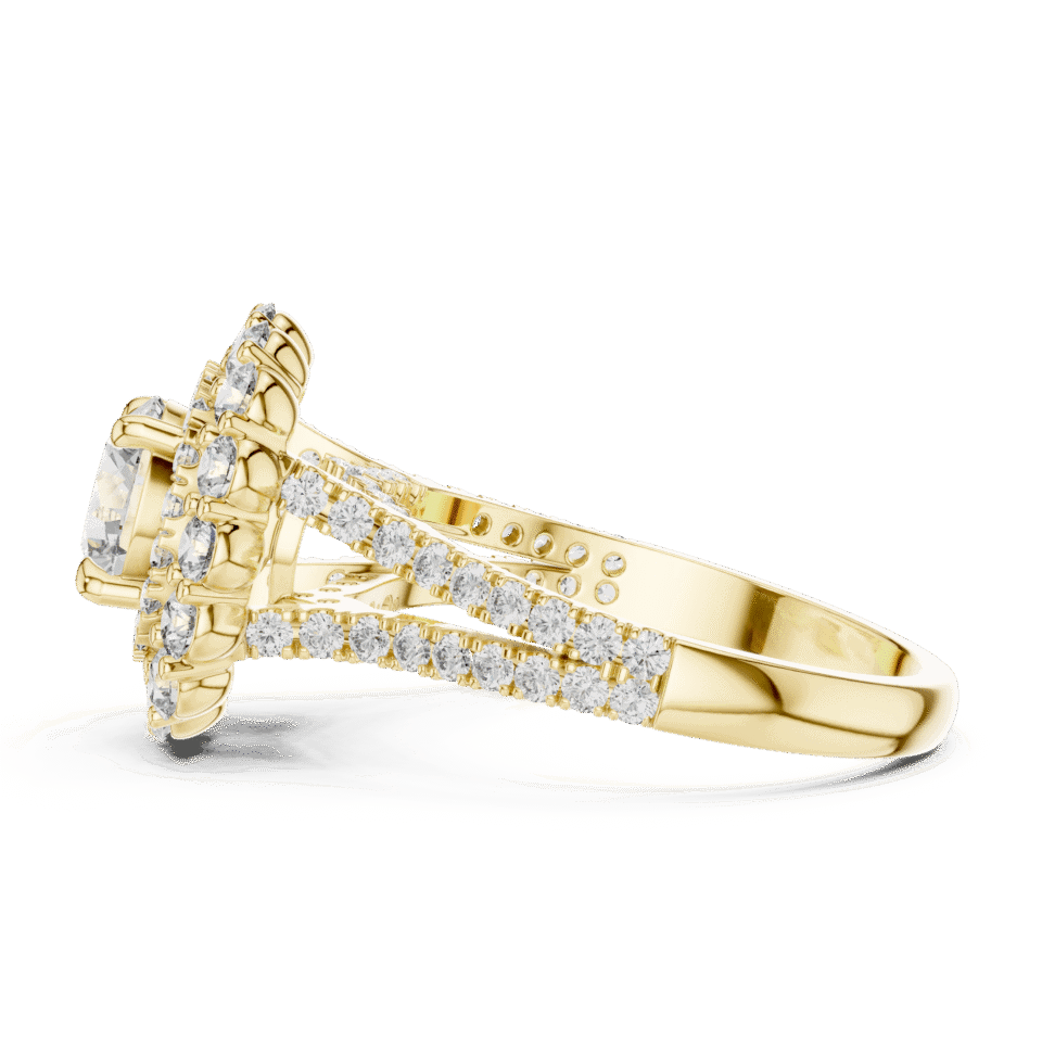 DDLR-011-01@Y-#viwe3