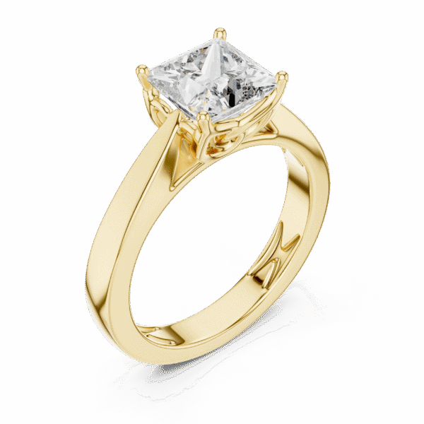 Echo Pulse Ring