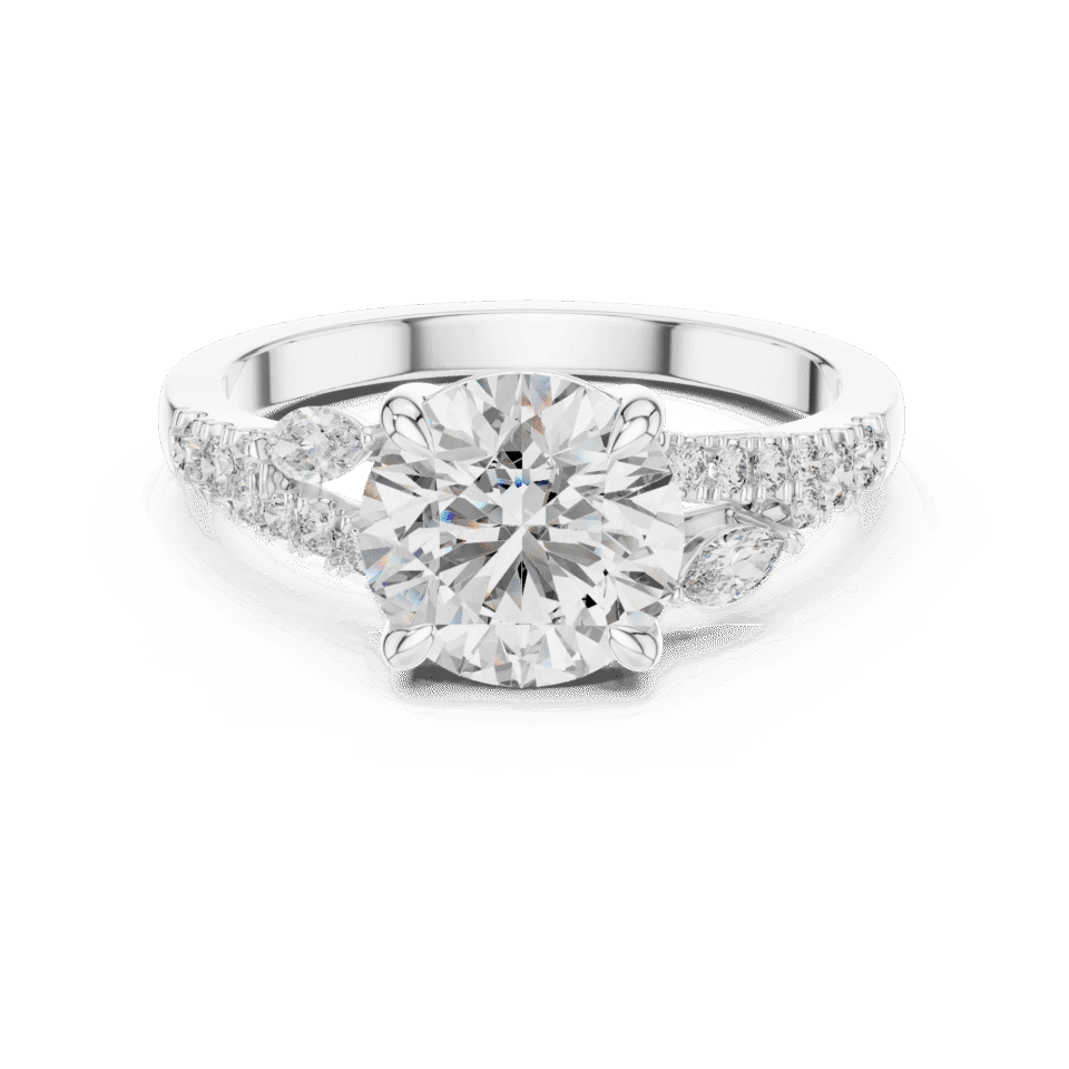 DDLR-015-01@W-#viwe4