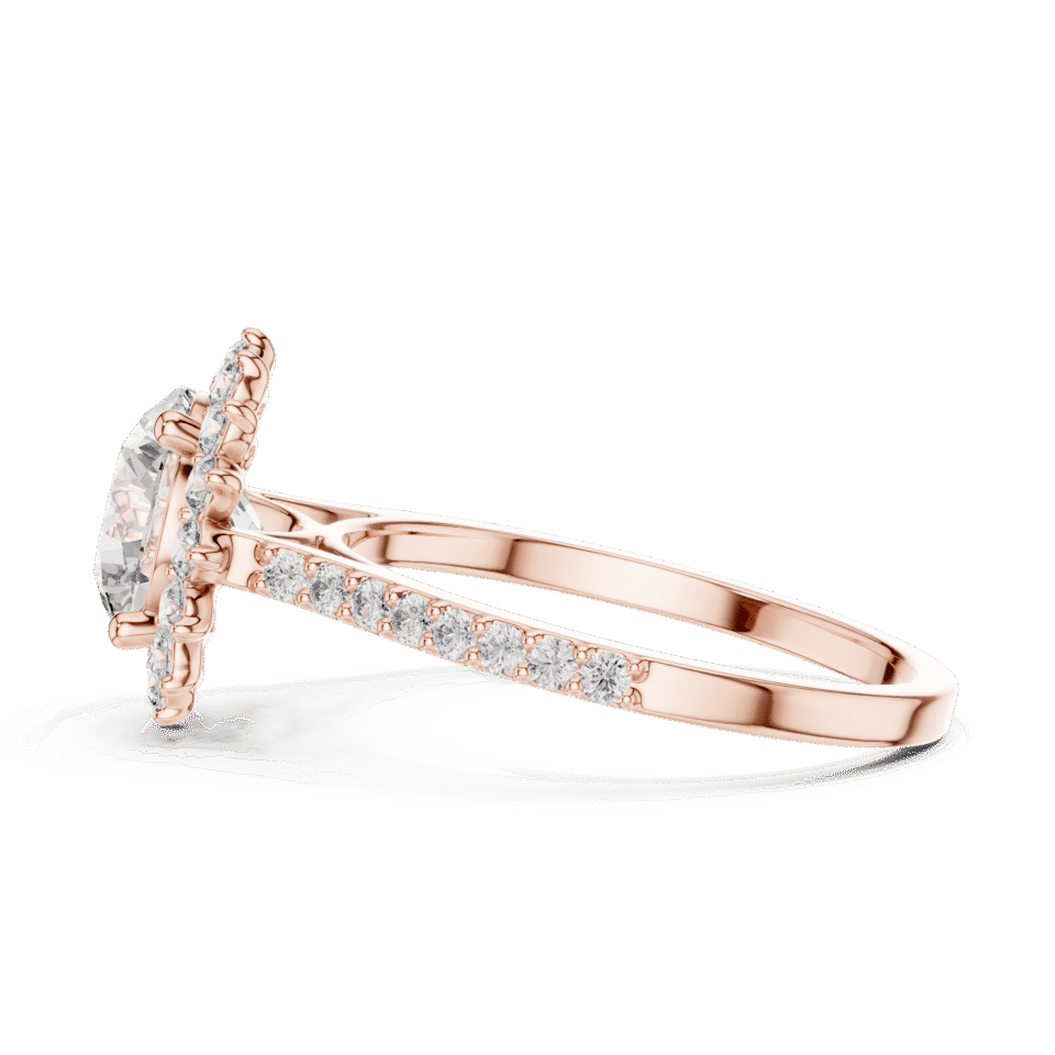 DDLR-062-01@R-#viwe3