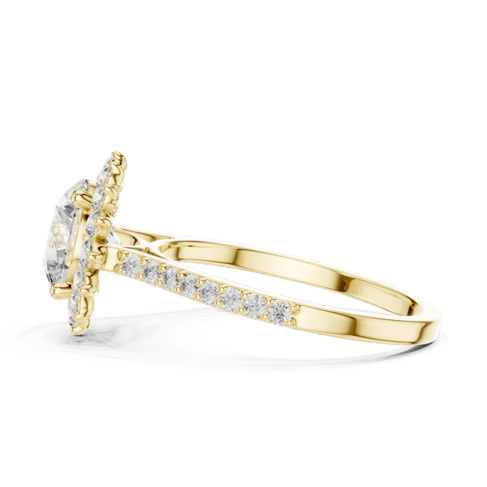 DDLR-062-01@Y-#viwe3