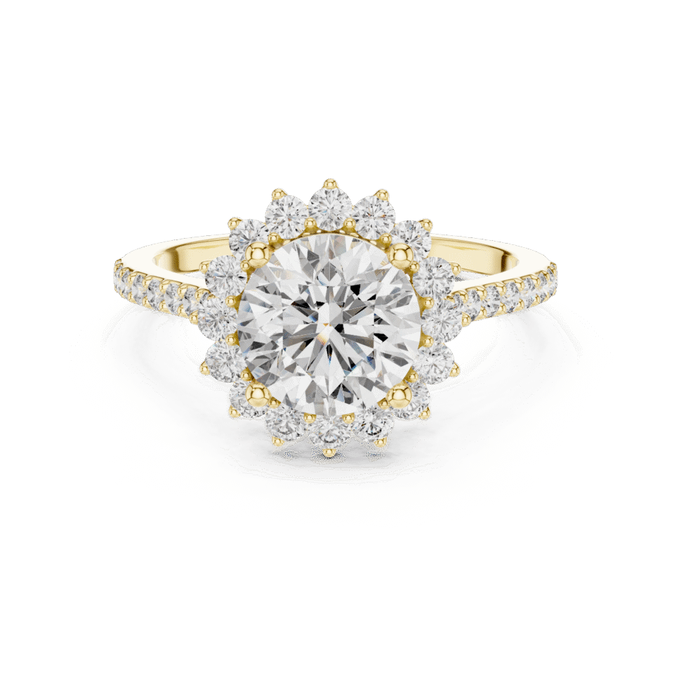 DDLR-062-01@Y-#viwe4