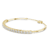 GLBR-0010-01@Y-#viwe1