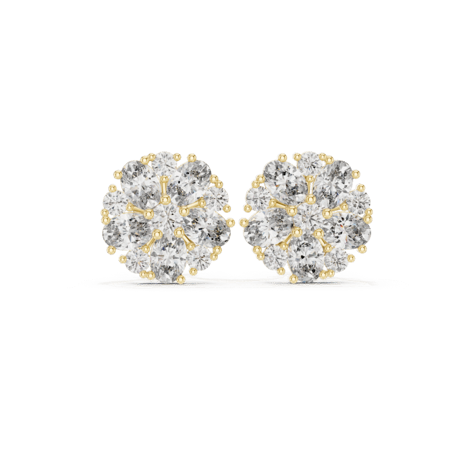 AGDER-229-01@Y-#viwe4