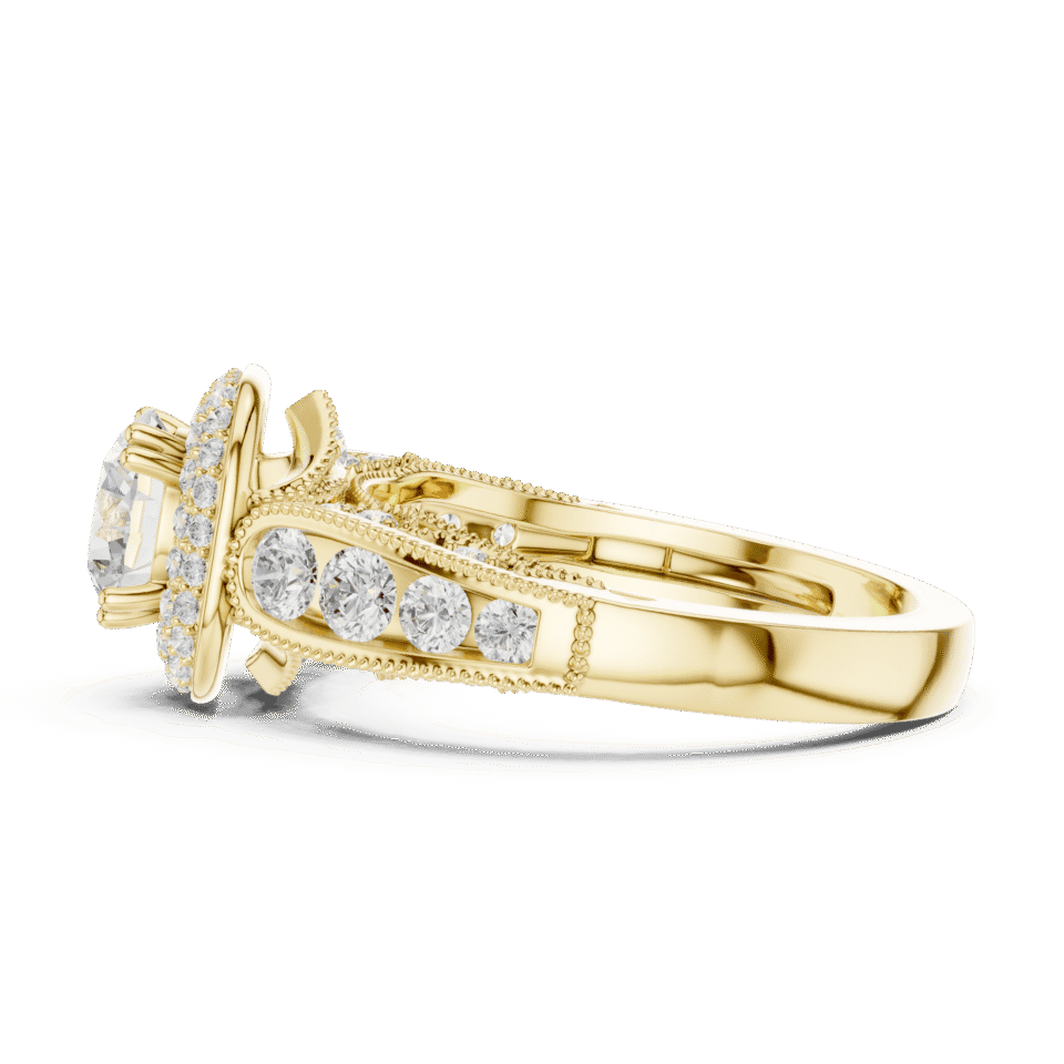 DDLR-776-02@Y-#viwe3