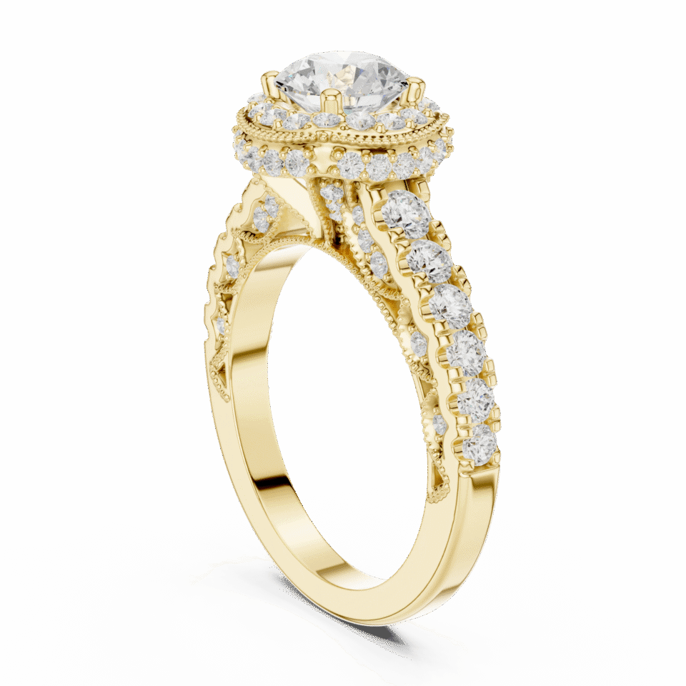 DDLR-778-01@Y-#viwe1