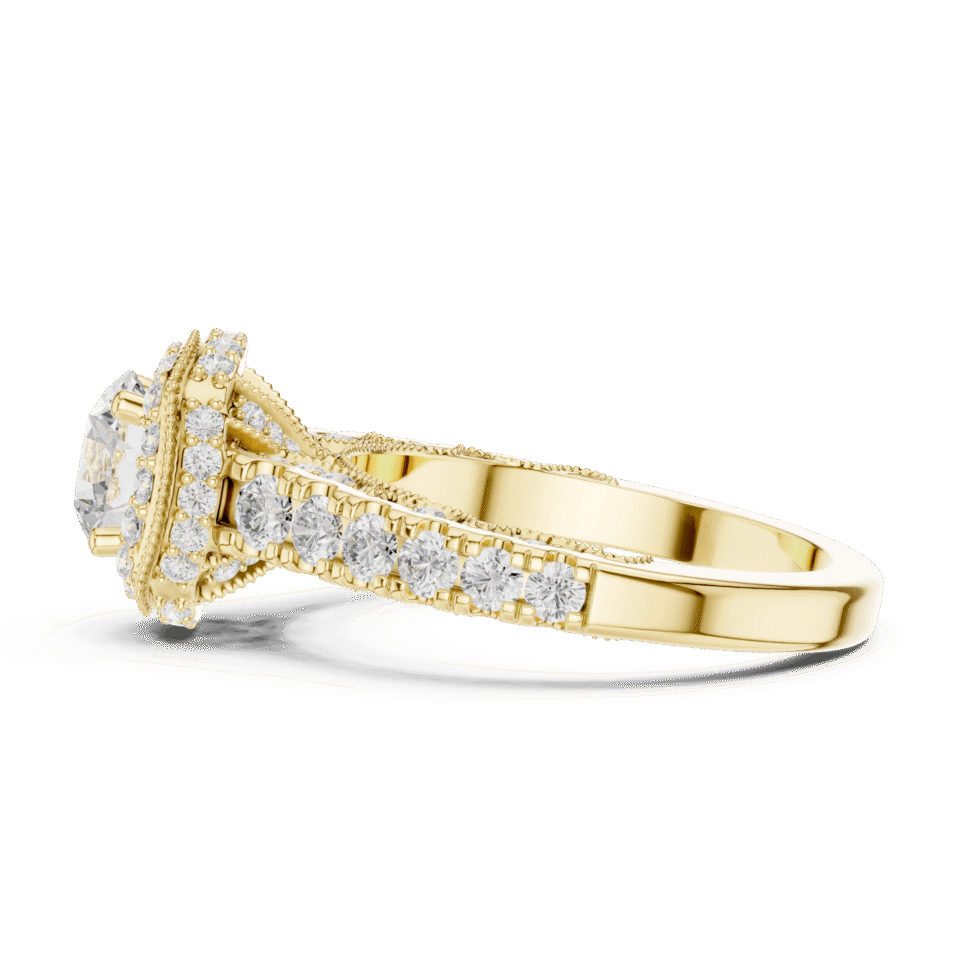 DDLR-778-02@Y-#viwe3