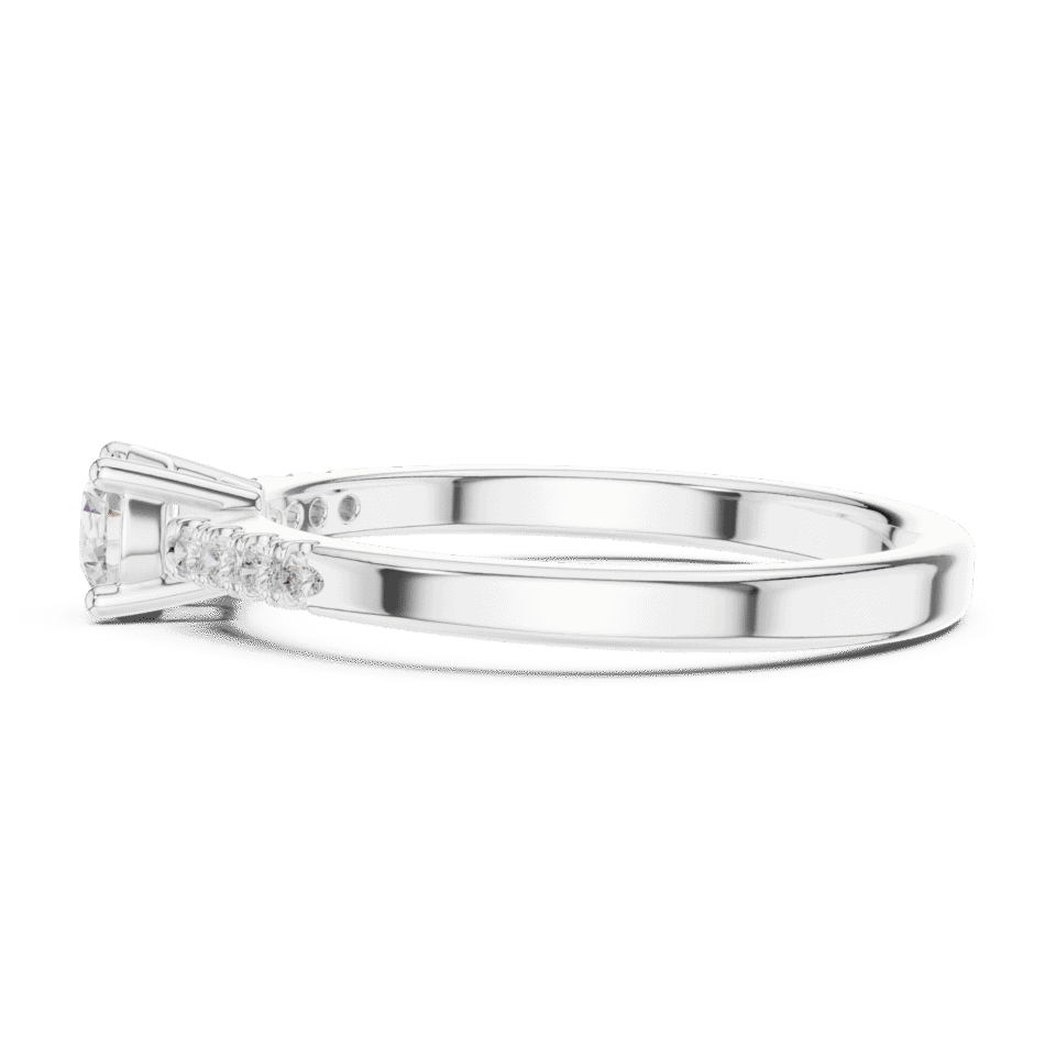 DDLR-834-02@W-#viwe3