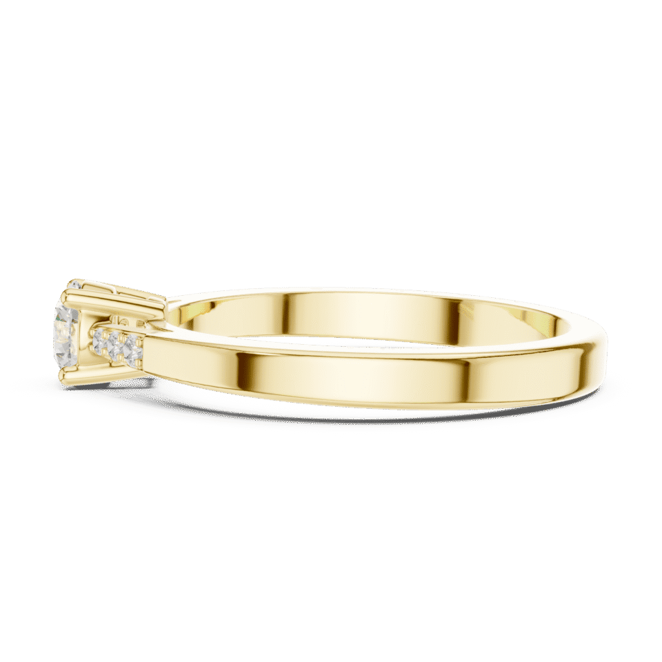 DDLR-838-02@Y-#viwe3