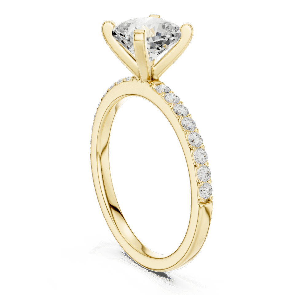 DDLR-885-01@Y-#viwe1