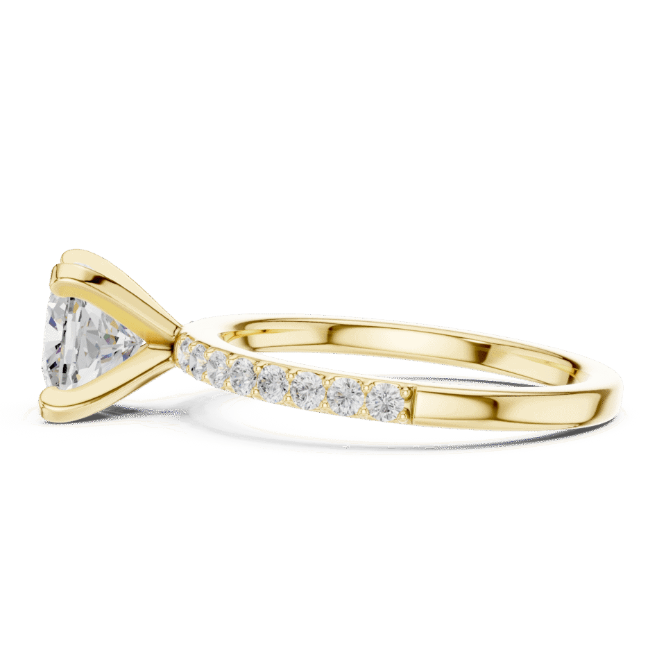 DDLR-885-02@Y-#viwe3