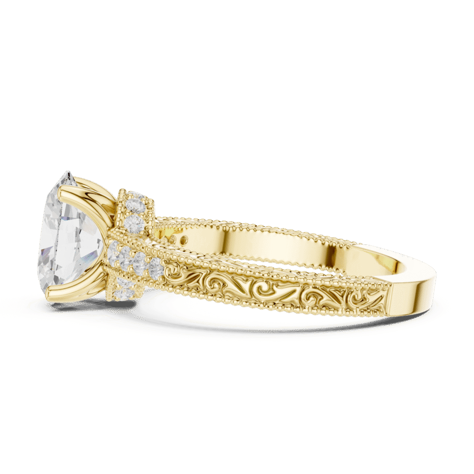DDLR-893-02@Y-#viwe3